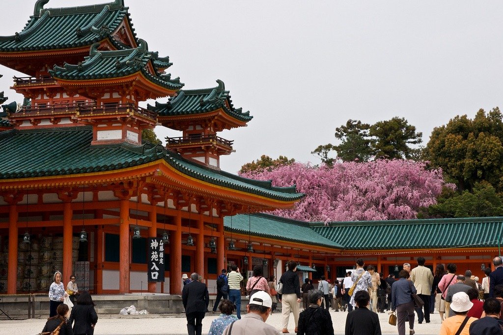 Heian Shrine Sakura