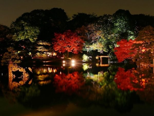 5 Tempat terbaik untuk melihat daun musim gugur di Tokyo Paket Wisata