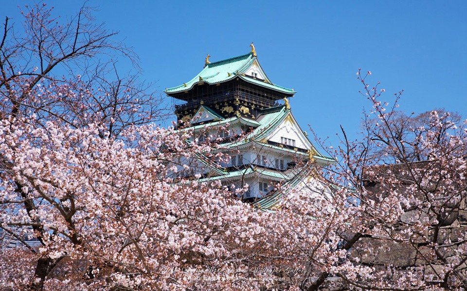 osakacastle_1