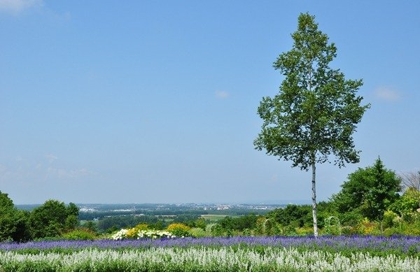 tokachi-hills-12