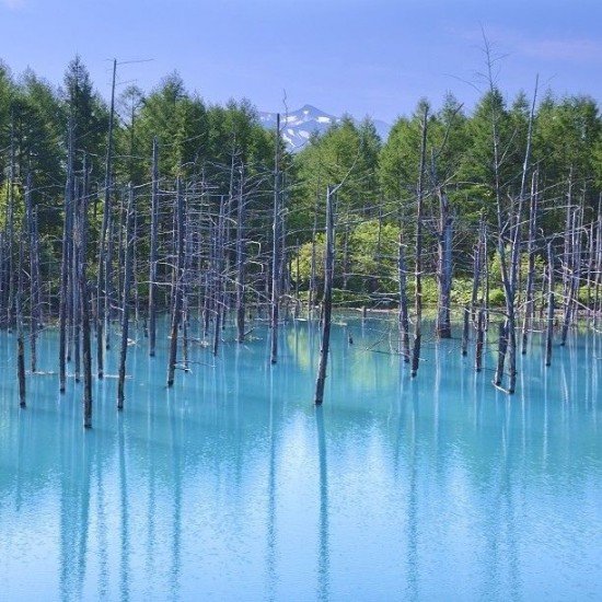 Blue Pond di Hokkaido