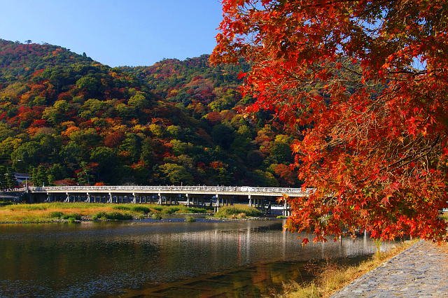 jembatan togetsu