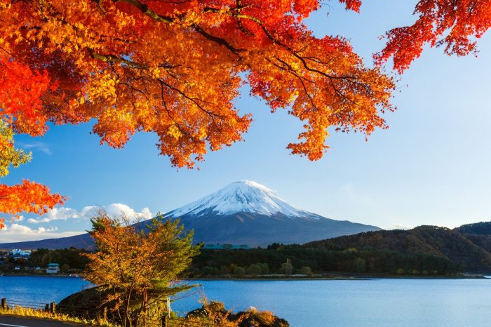 Open Trip Autumn November 2022 Tokyo – Fuji – Disneyland 5D4N