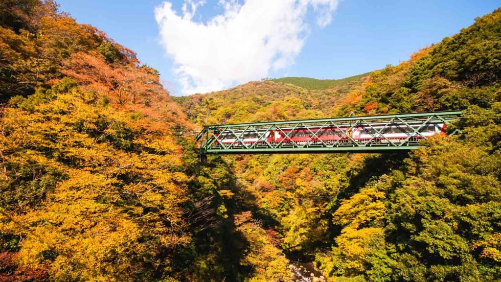 Paket Open Trip Tour ke Jepang November 2018