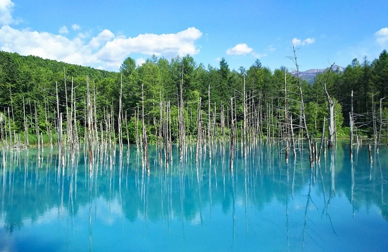 Shirogane Blue Pond Asahikawa Hokkaido Jepang