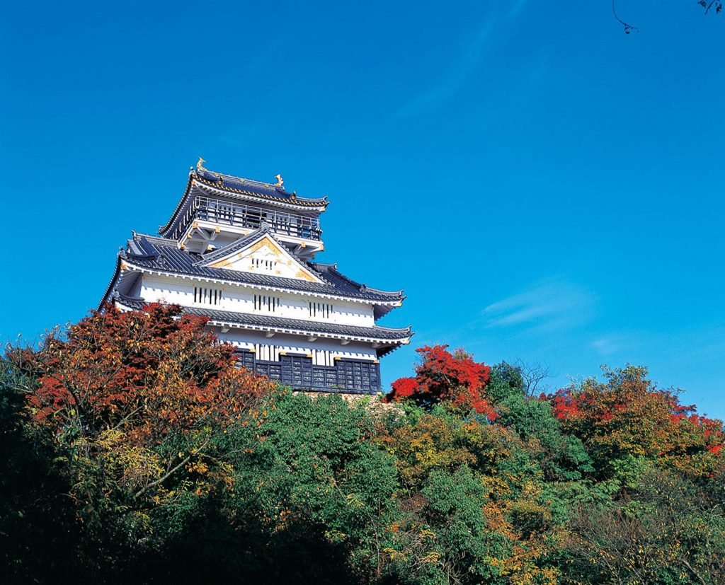 Kastil Gifu