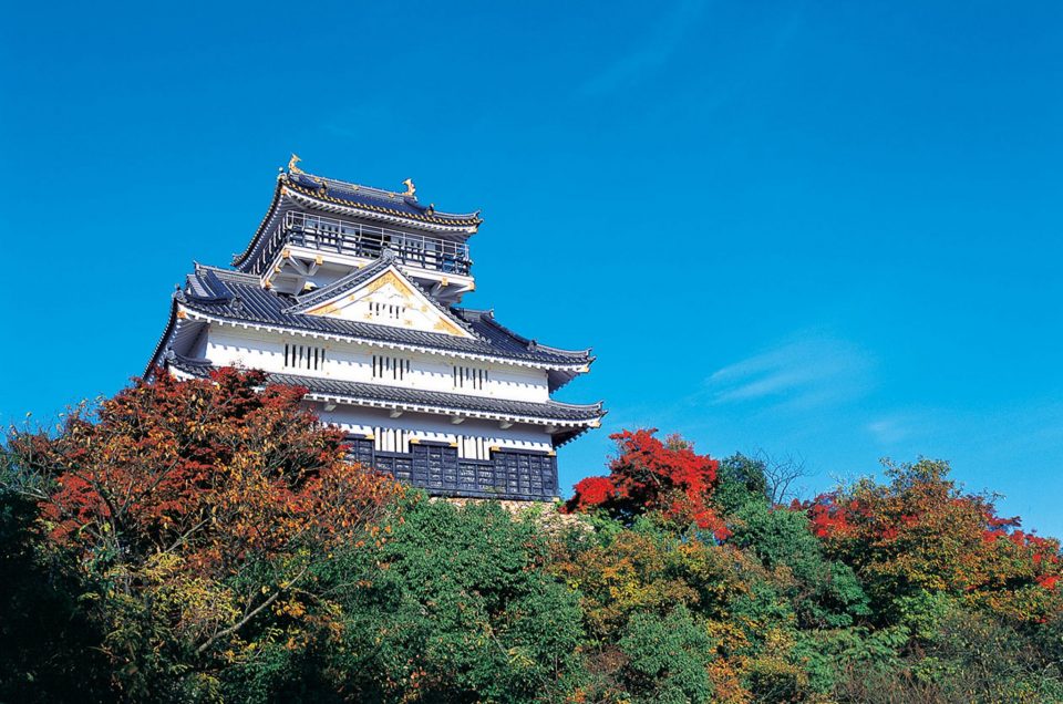 Kastil Gifu