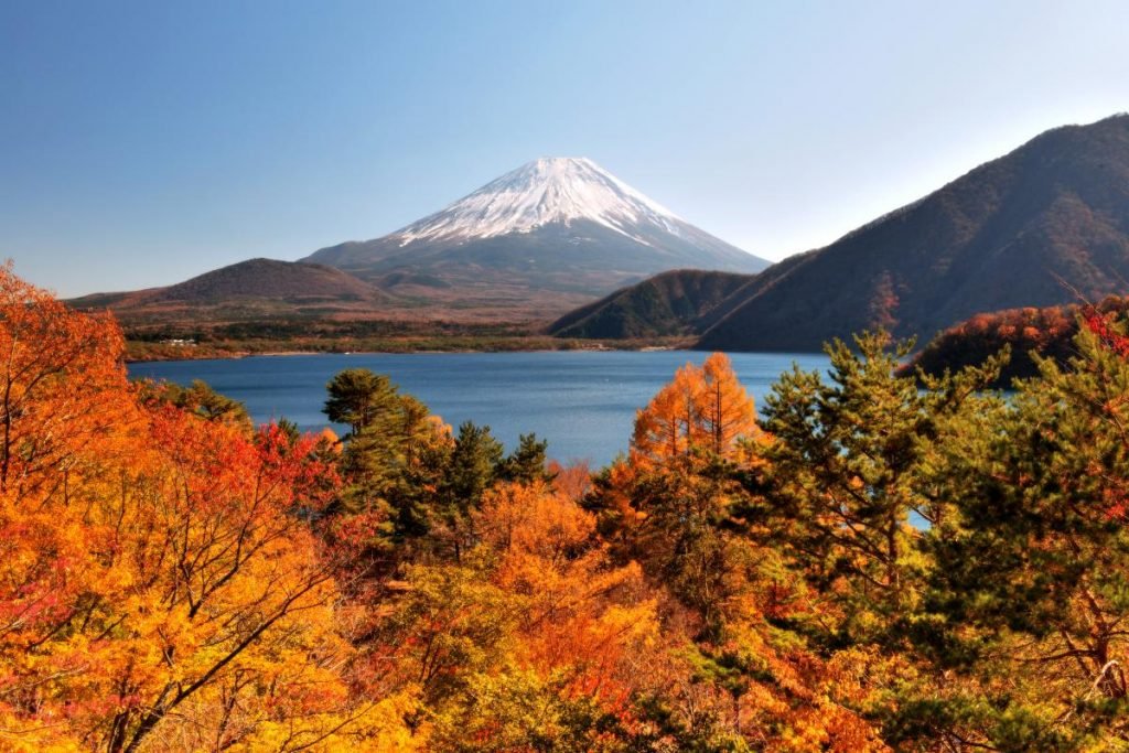 Festival Momiji Kawaguchiko