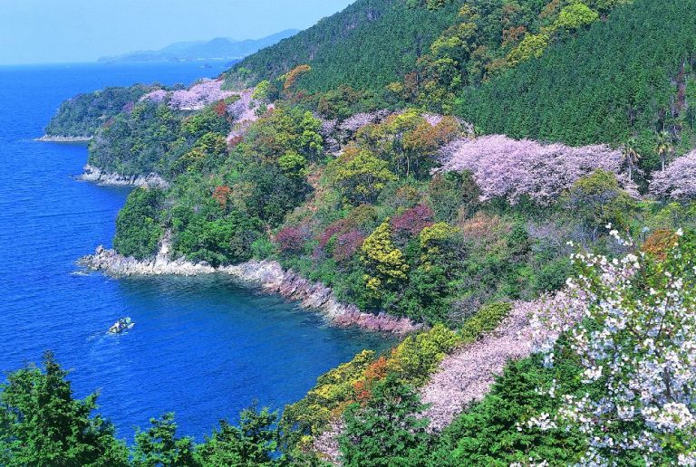 Yuk, Jelajahi Tempat Wisata di Kumamoto yang Kaya Dengan