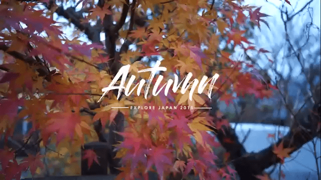 Video Jalan Jalan ke Jepang Autumn November 2018