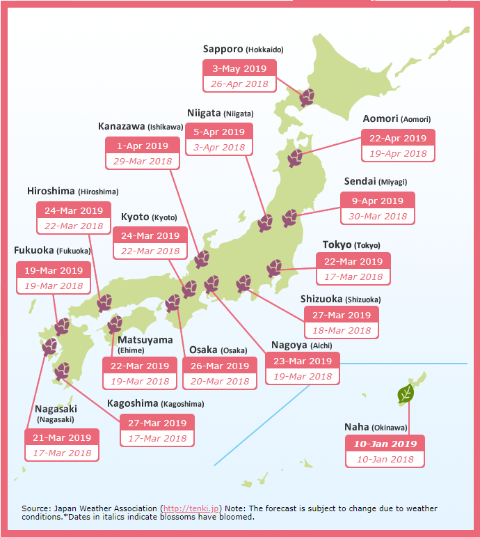 Perkiraan Bunga Sakura di Jepang 2019