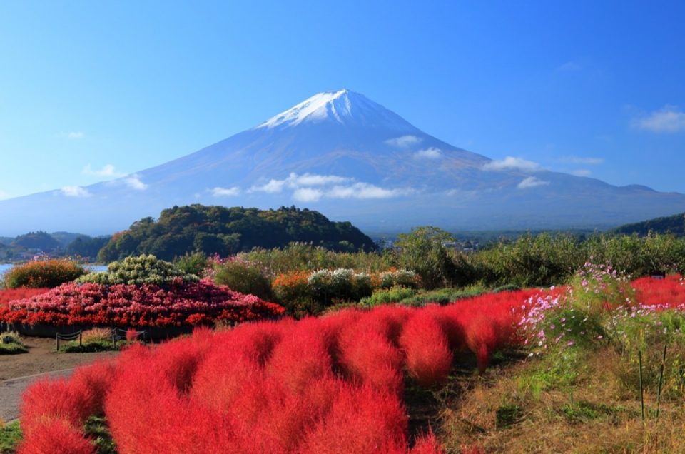 10 Tempat Wisata Sekitar Danau Kawaguchi Dekat Gunung Fuji