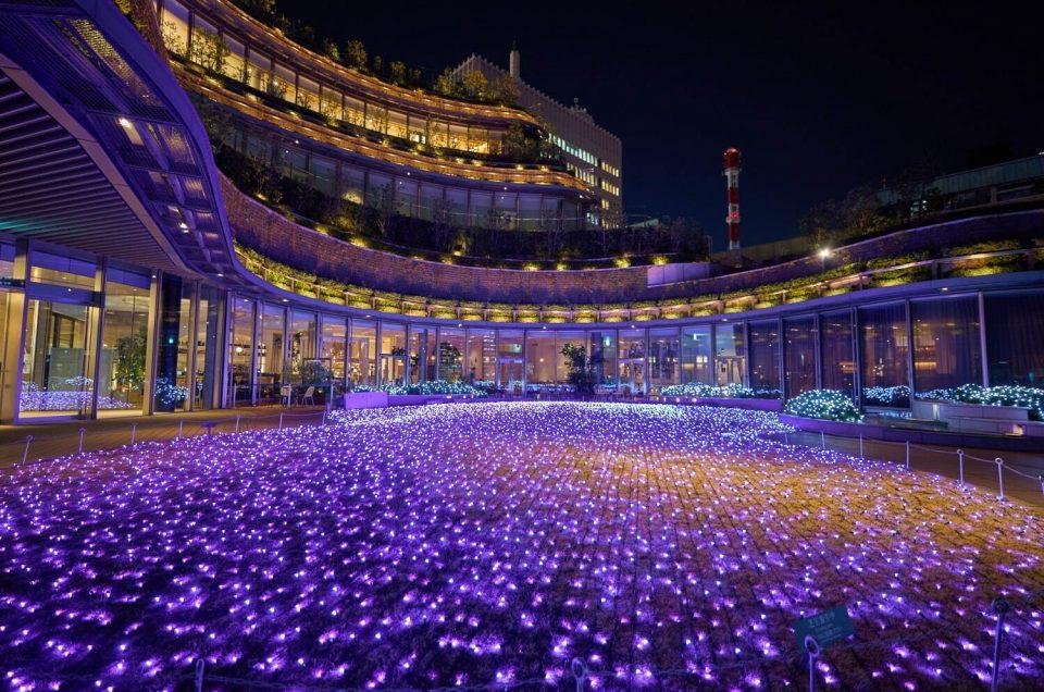 Rekomendasi 5 Iluminasi dan Pertunjukan Cahaya yang Luar Biasa di Tokyo 2022