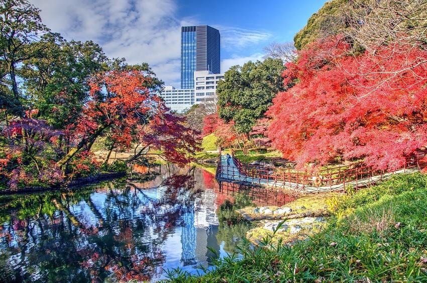 Rekomendasi Tempat Menikmati Musim Gugur di Tokyo
