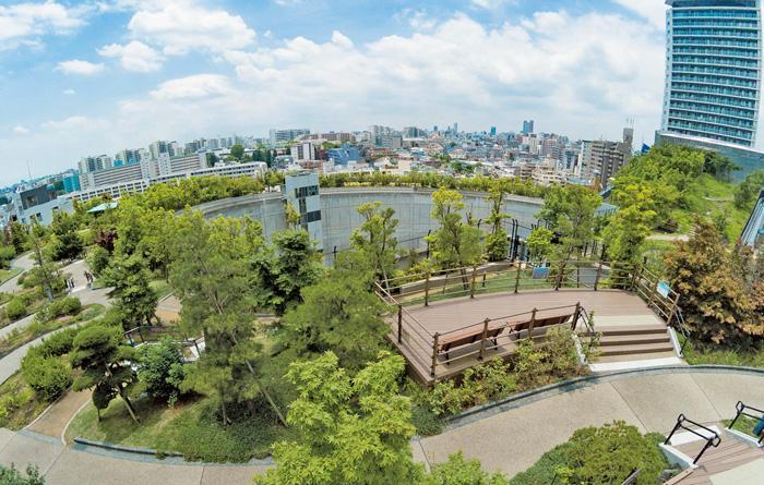 Rekomendasi Taman Rooftop Terbaik di Tokyo