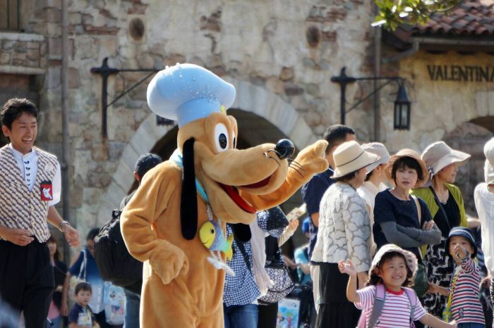 Paket Open Trip November Autumn 5 hari 4 Malam ” Tokyo Theme Park Disneyland”