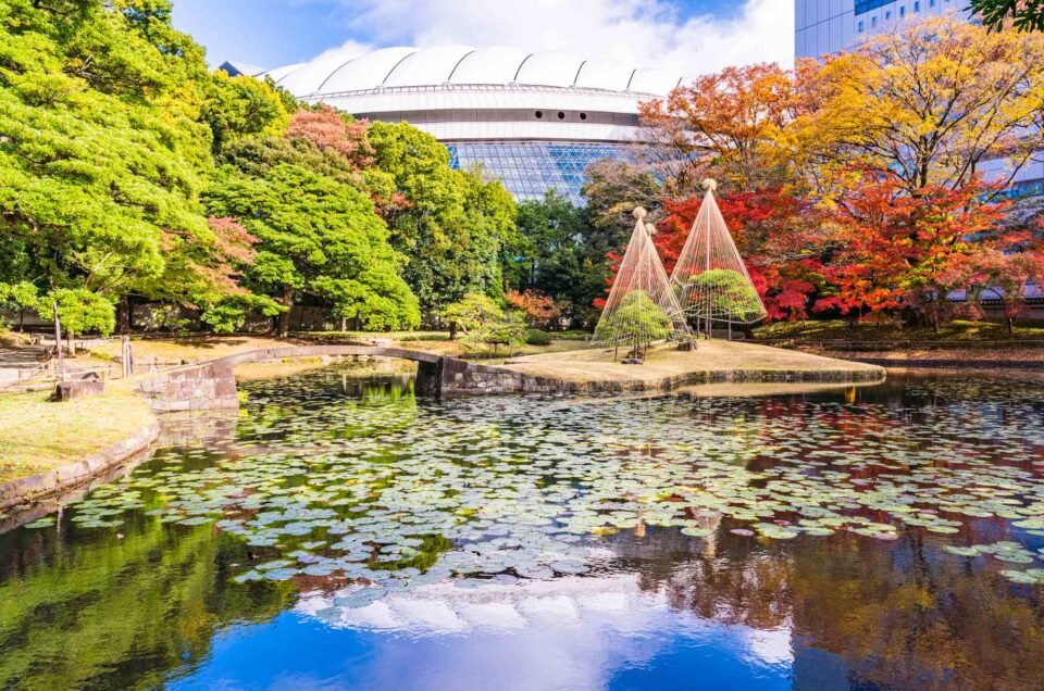 7 Rekomendasi Taman Terindah dan Terbaik di Tokyo