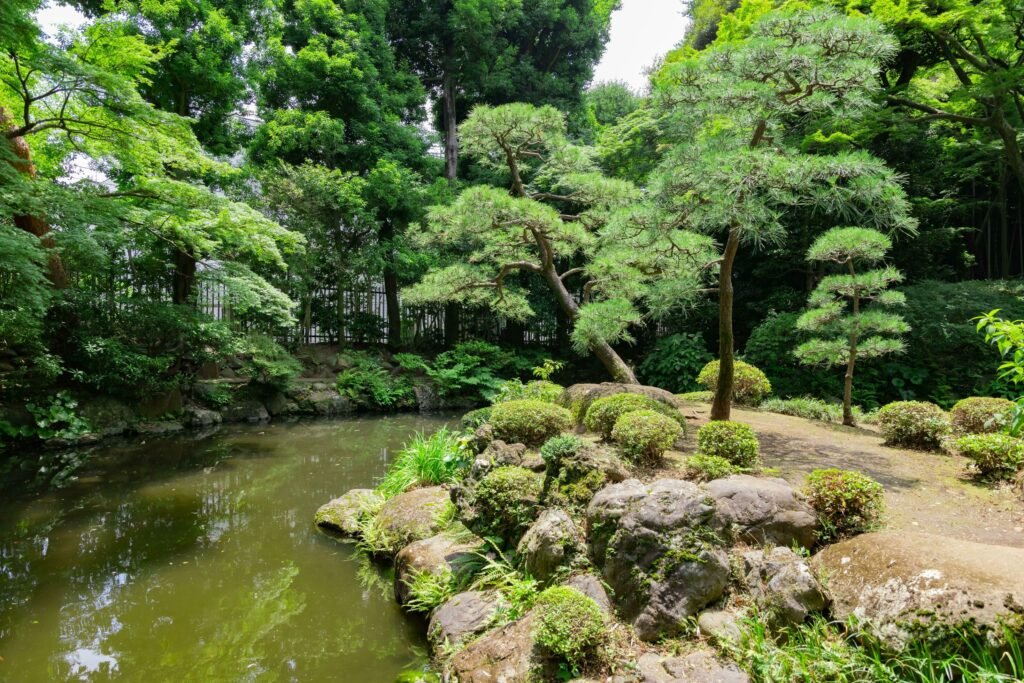 7 Rekomendasi Taman Terindah dan Terbaik di Tokyo