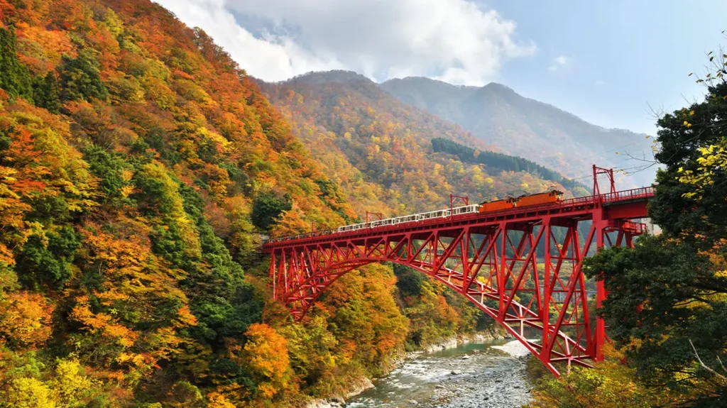 8 Destinasi Paling Cantik di Jepang 2024, dari Kyoto Hingga Aomori