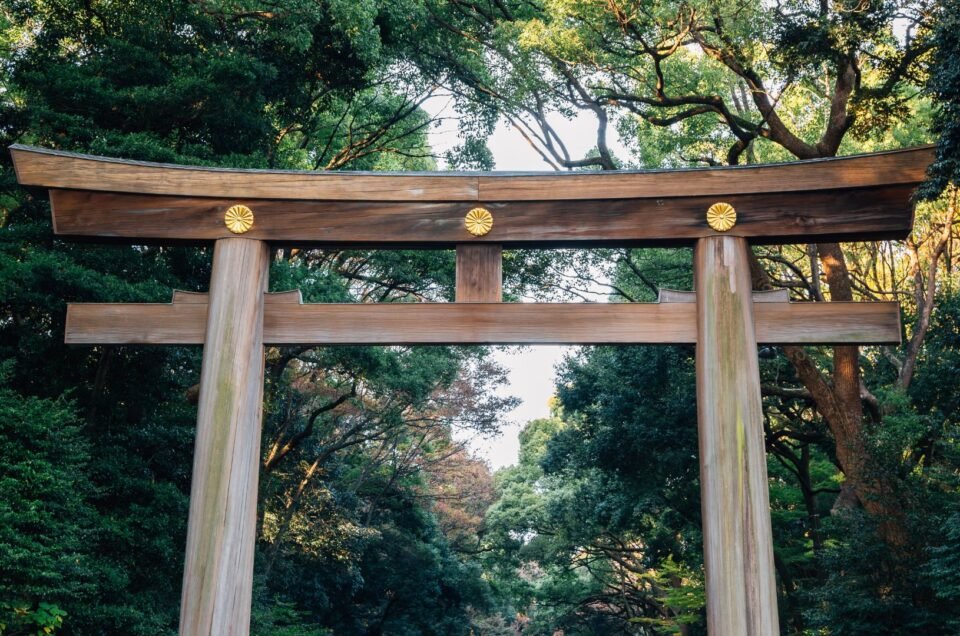 10 Rekomendasi Spot Terbaik dengan Alam yang Menyegarkan di Tokyo