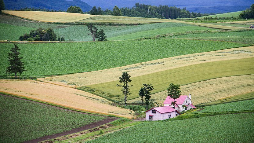Bersepeda di Perbukitan Biei: Menyusuri Lanskap Indah Hokkaido