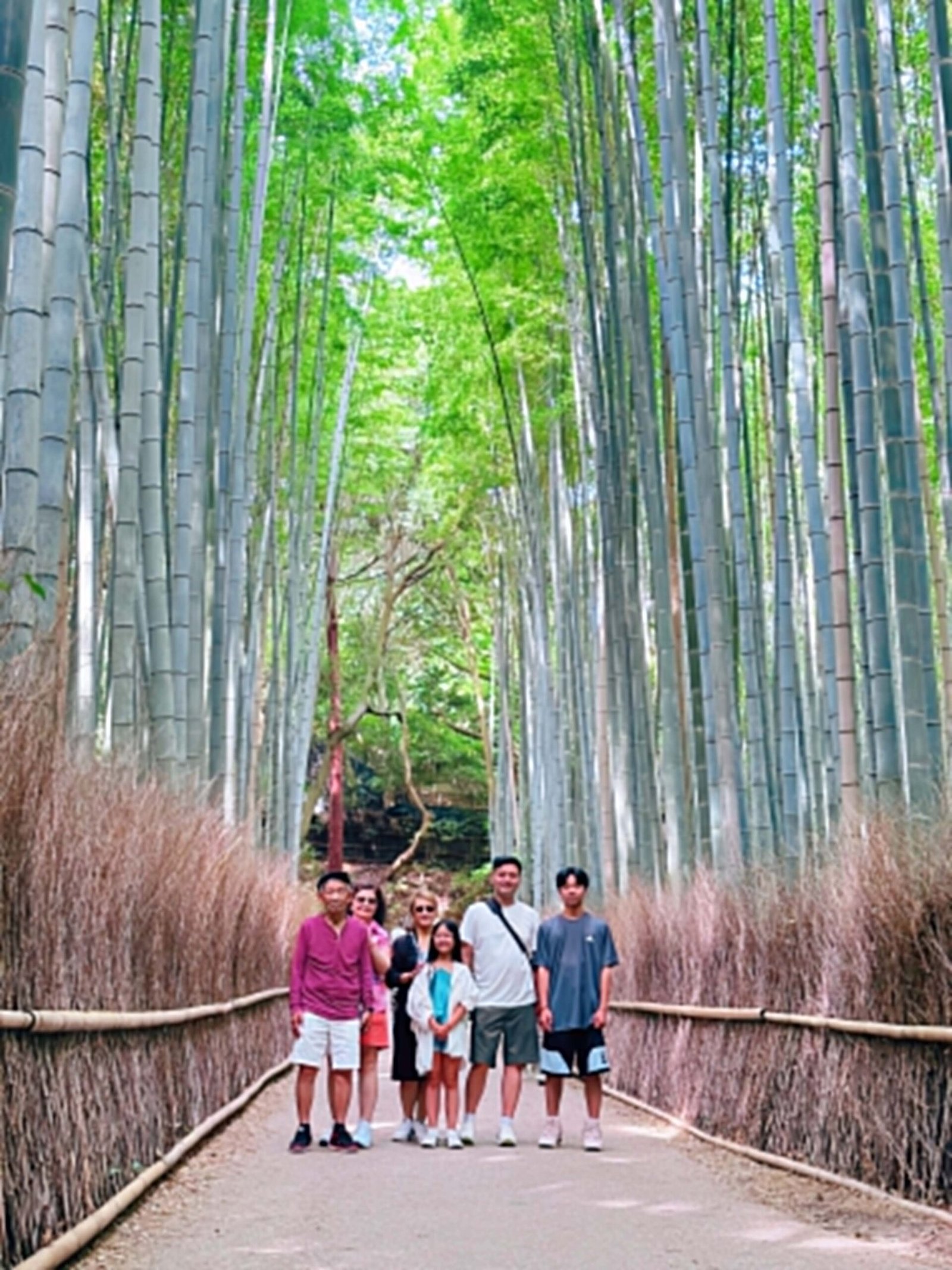 Hutan Bambu Arashiyama Kyoto