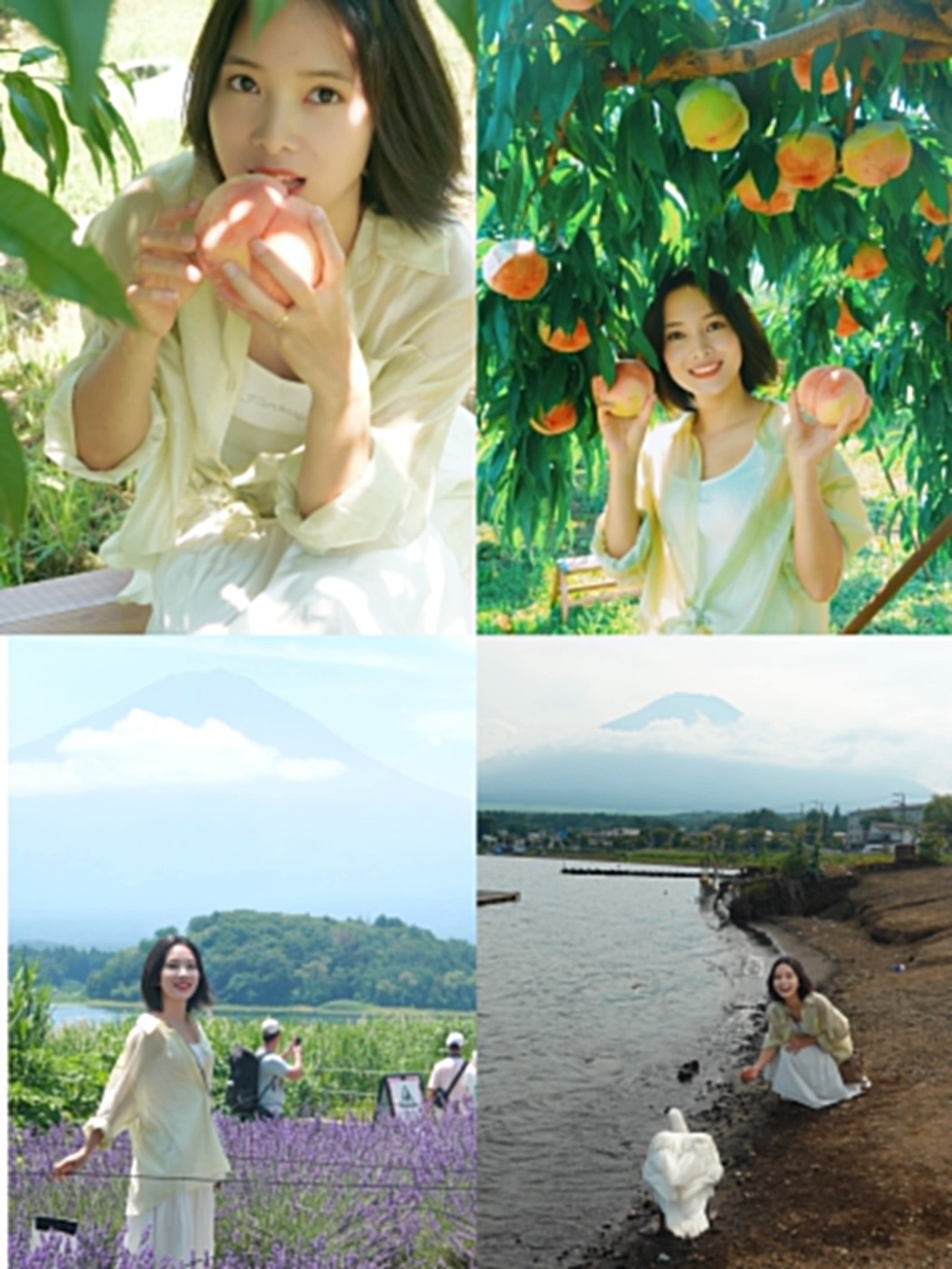 Collage perjalanan day trip ke Gunung Fuji
