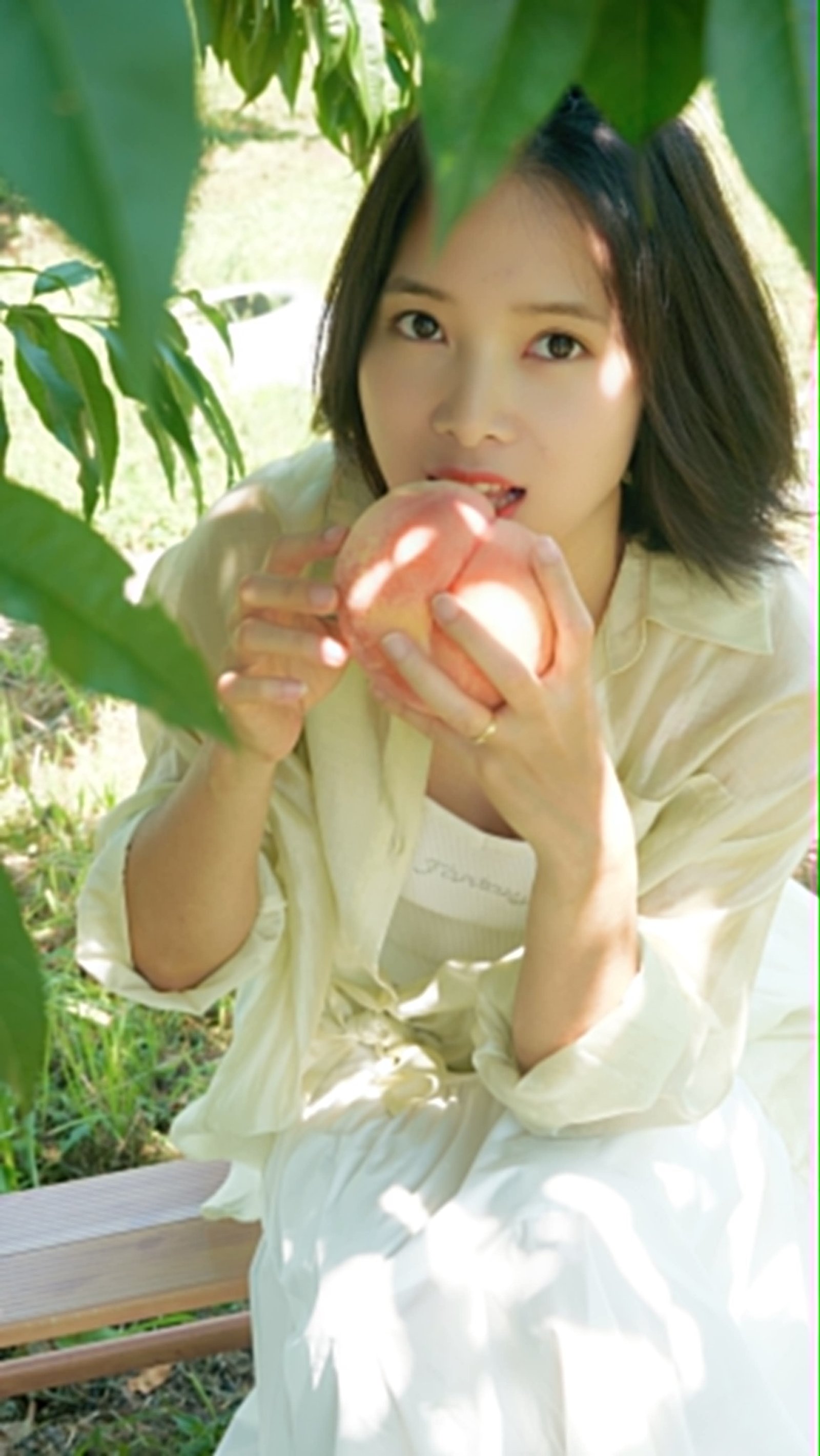 Peach Jepang yang Manis dan Segar