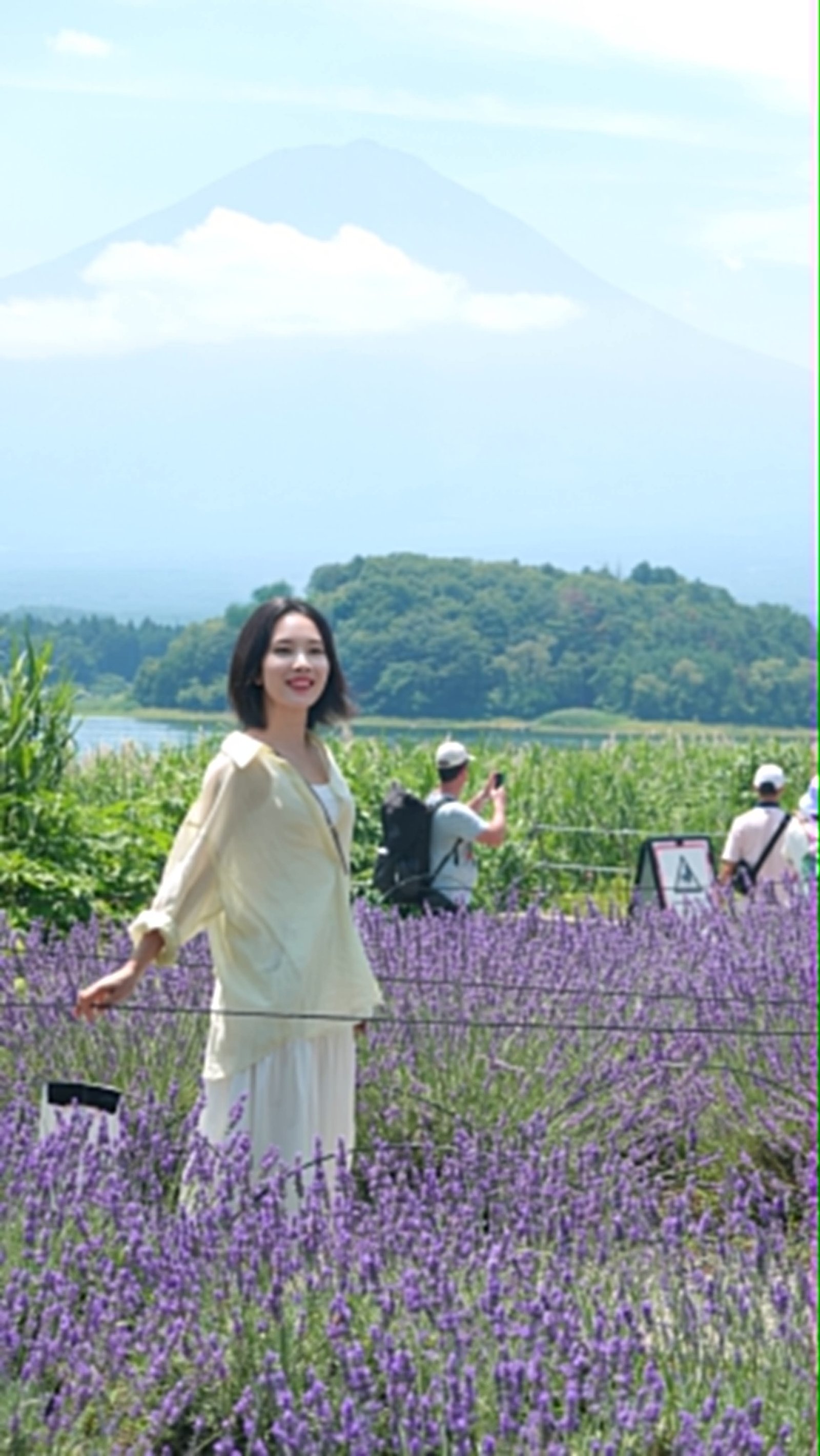 Ladang Lavender dengan Latar Gunung Fuji